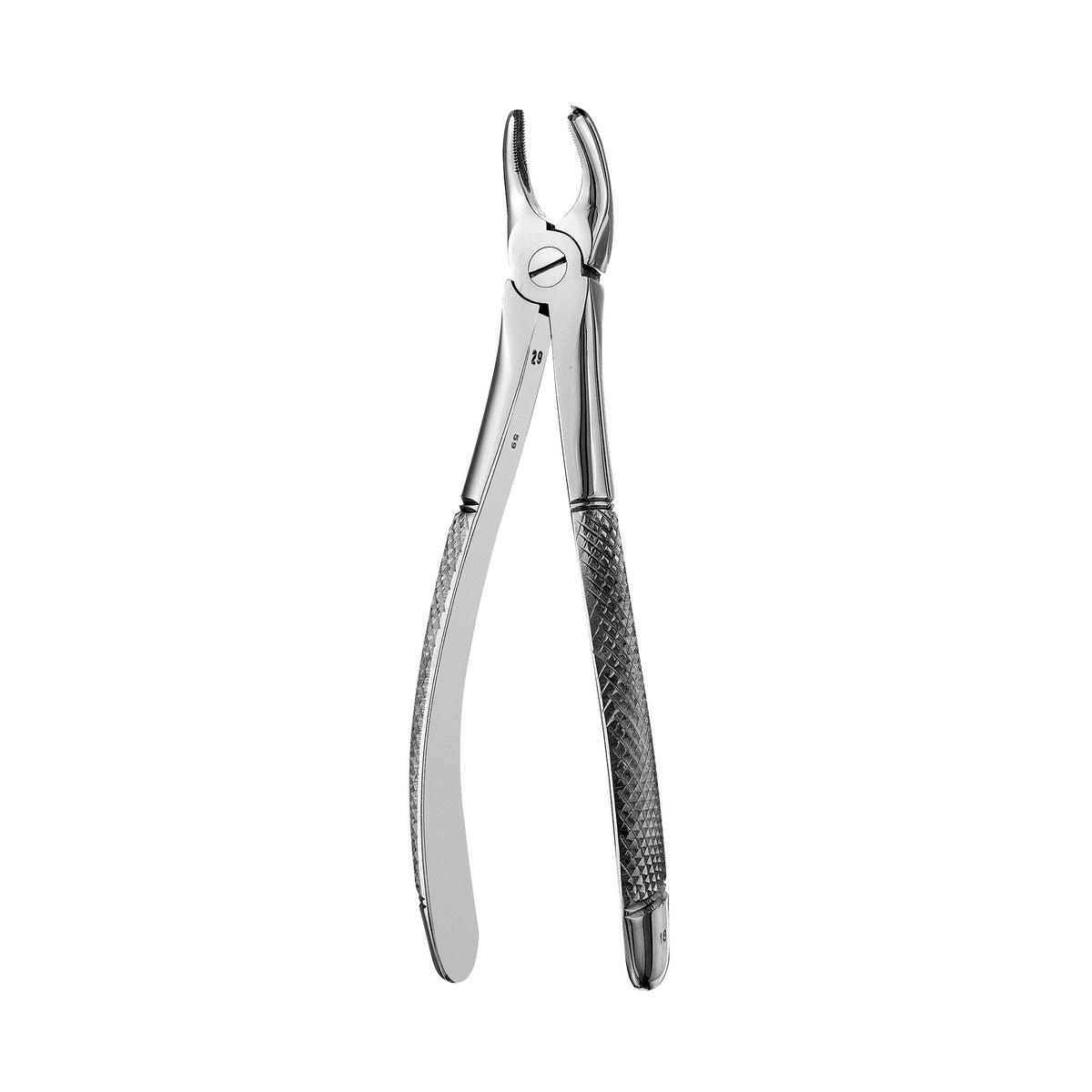 European Style Forceps-18