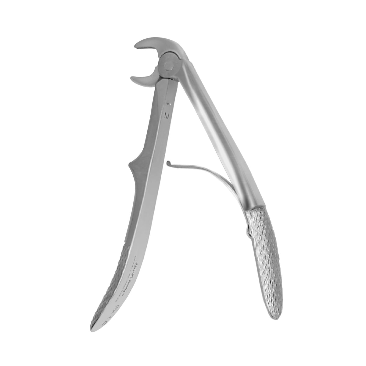 European Style Forceps - 1C, Anterior