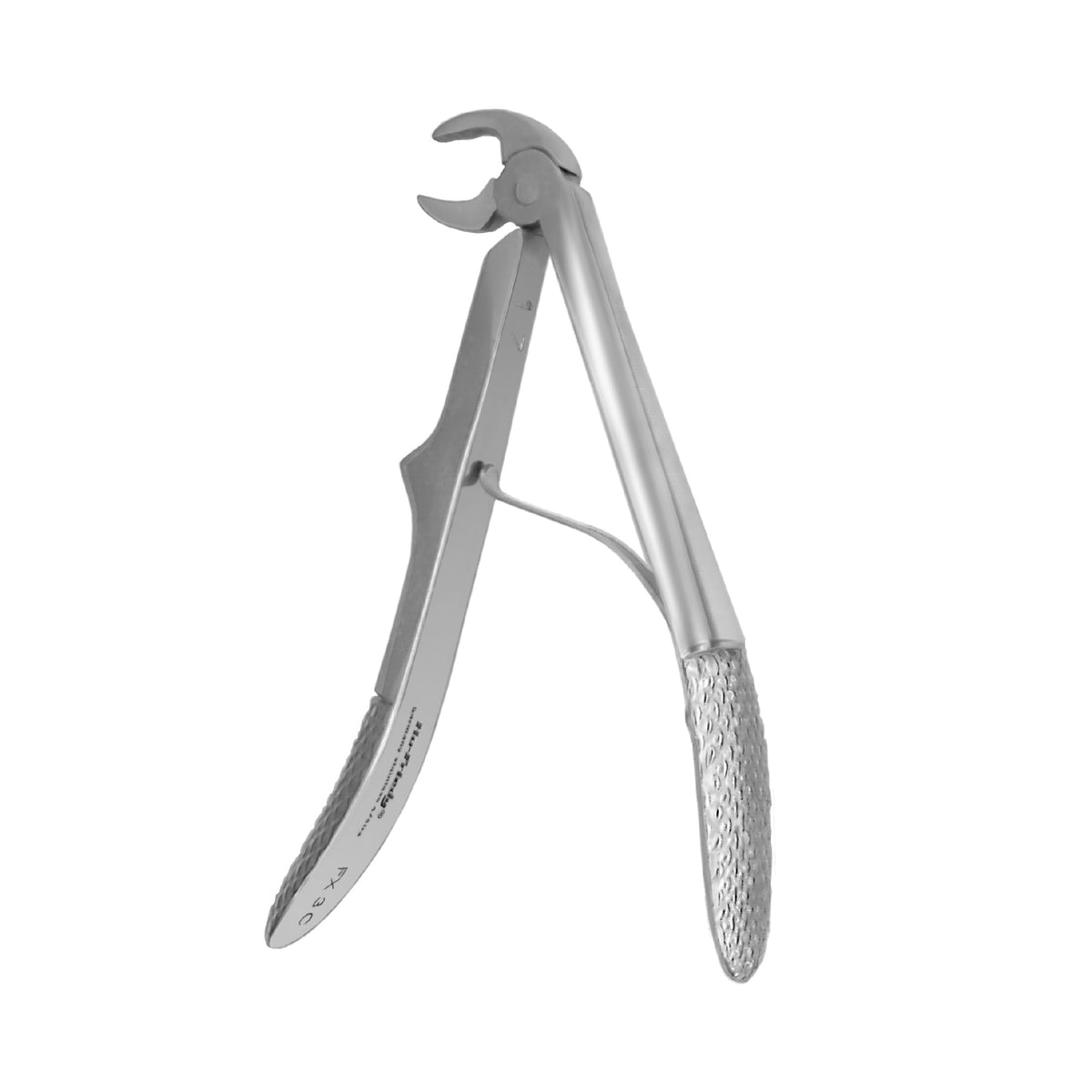 European Pedo Forceps - 3C, Roots