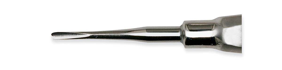 Elevator Apical (Blunt) Large Handle 304 B -  Premier Dental
