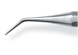Applicator Calcium Hydroxide -  Premier Dental