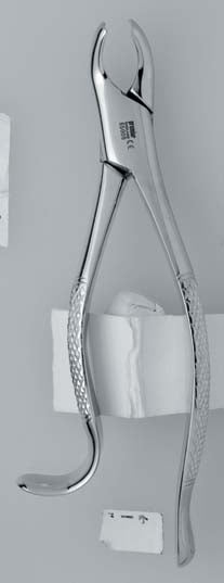 Forcep 18L -  Premier Dental