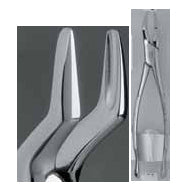 Forcep 65 -  Premier Dental