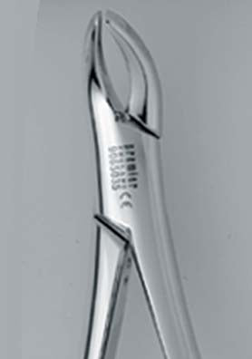 Forcep 151S -  Premier Dental