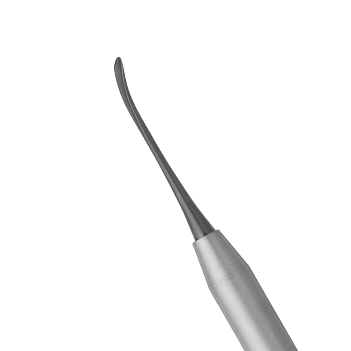 Chisel, Back Action, Black Line