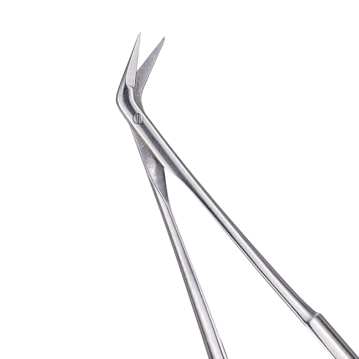 Swiss Perio Microsurgical Scissors