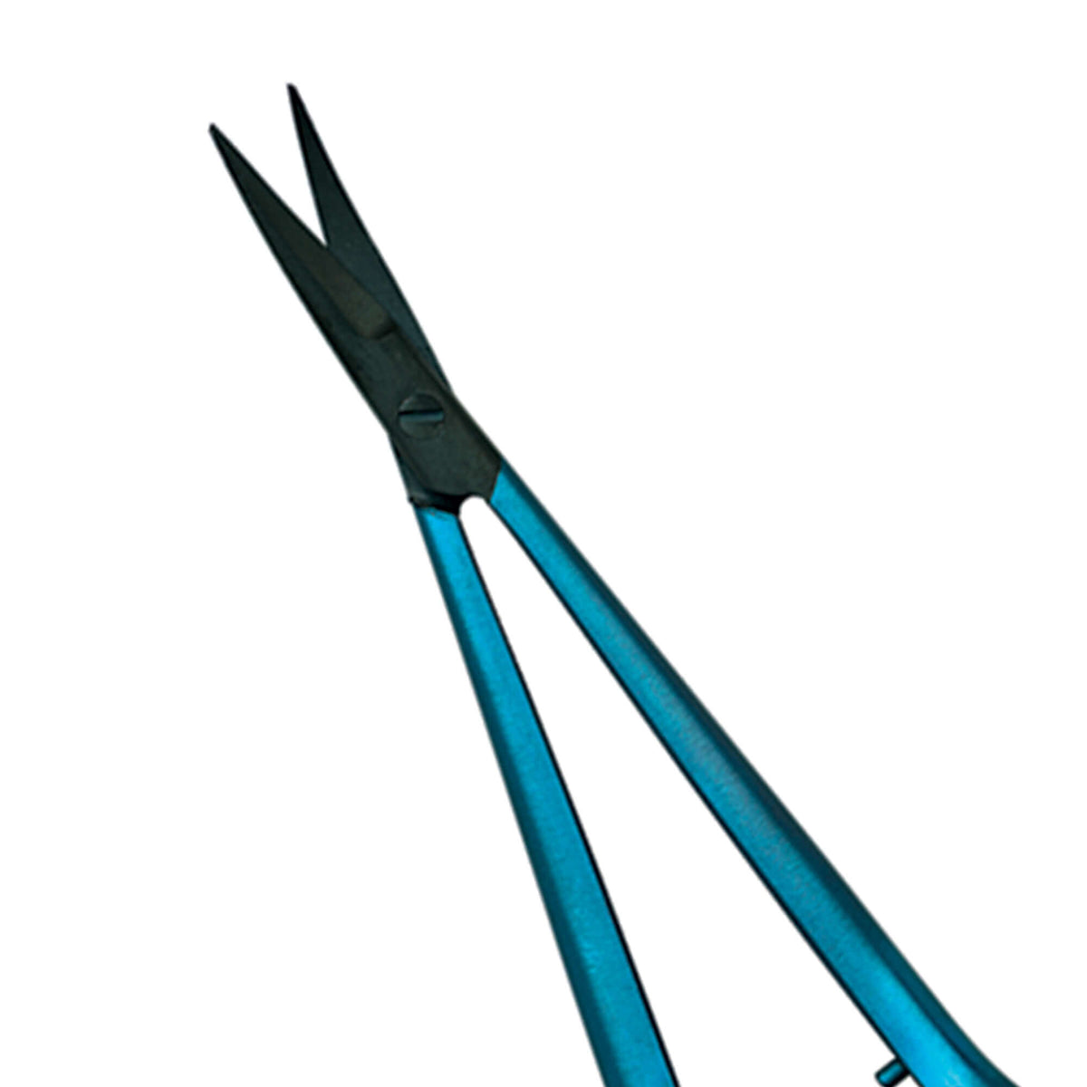 Microsurgical Scissors