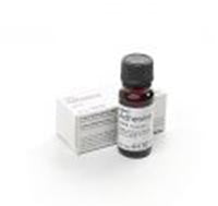 President Coltene Adhesive (10 Ml)