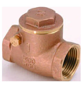 Dci #2839 - Check Valve Swing 1"