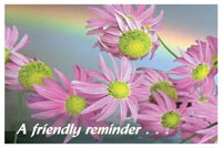 Recall Card - Pink Flowers Laser 4-Up (200)
