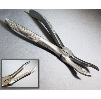 Forcep Tooth Extracting 44E - Housebrand