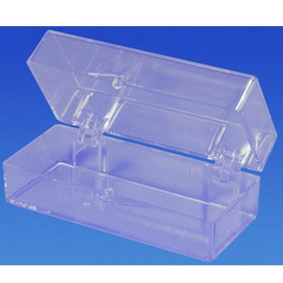Clear Hinged Box
