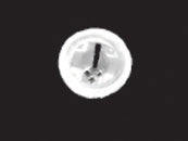 Evacuation Saliva Ejector Screens - 144/Box