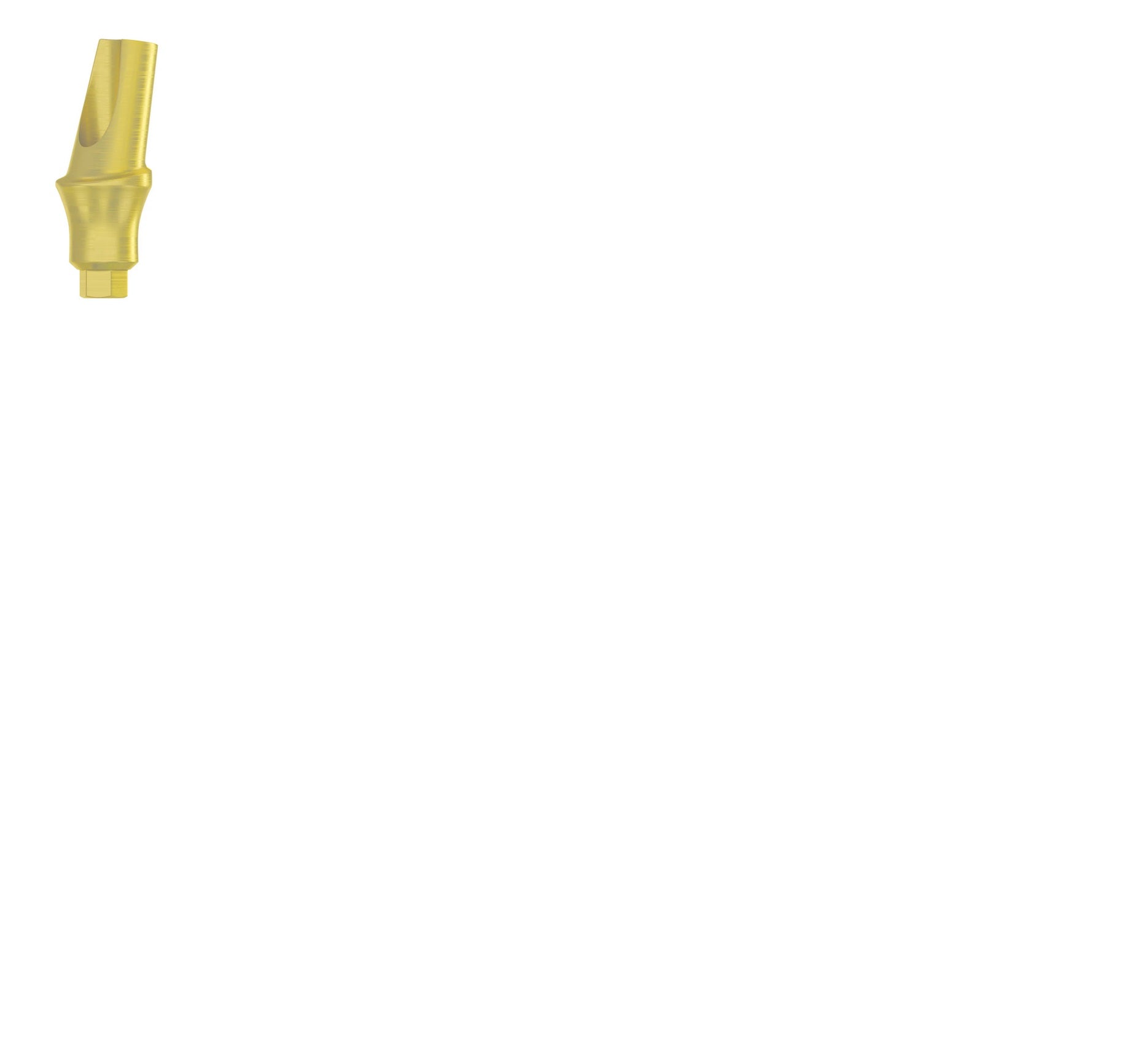 Angulated 15° Concave Anatomic Abutment 5.0mm - Internal Hex Ø2.42mm