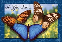 Recall Card - 3 Butterflies Laser 4-Up (200)
