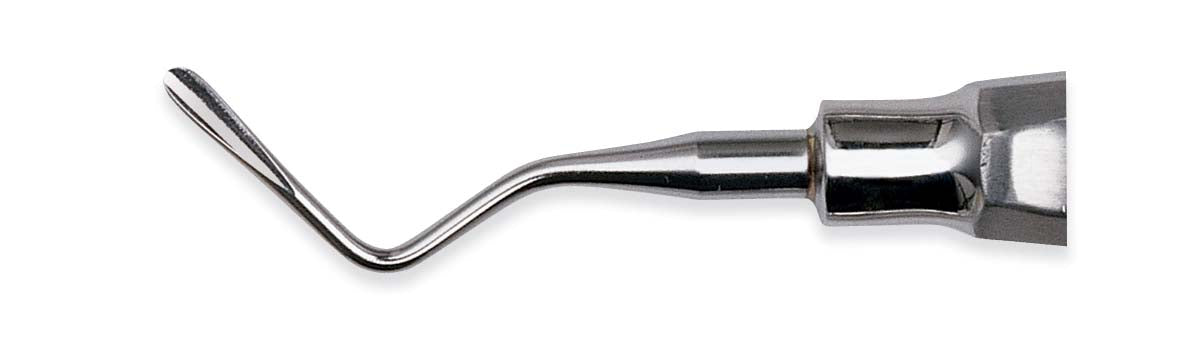 Elevator Apical (Blunt) Large Handle 302 B -  Premier Dental