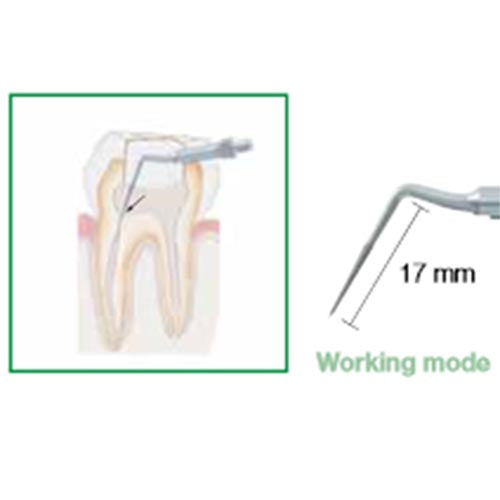 Biosonic Piezo Tips - Endodontics
